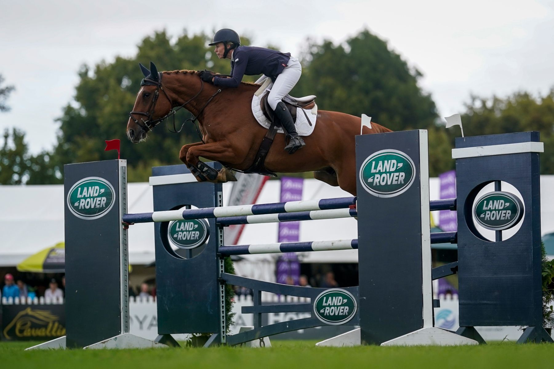 Land Rover adds horsepower to Equestrian New Zealand